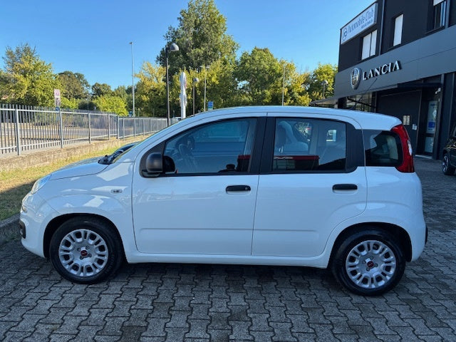 NUOVA PANDA - PANDA HYBRID