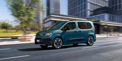 Fiat Qubo L